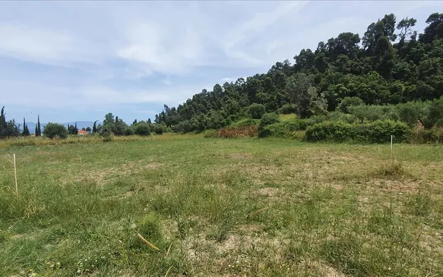 Земельный участок в Kassandra Municipality