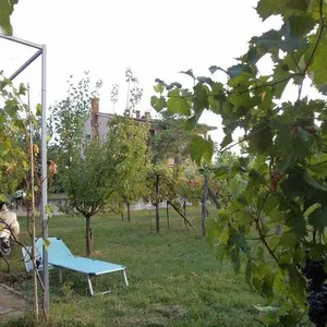 Земельный участок в Копер, фото 3