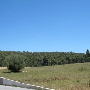 Земельный участок в Kassandra Municipality, фото 4