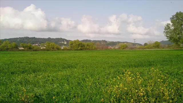 Земельный участок в Kassandra Municipality