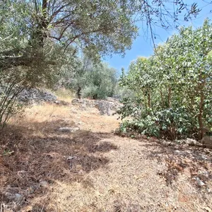 Земельный участок в Corfu, фото 4
