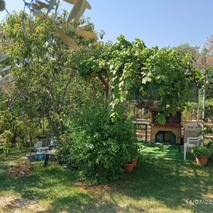 Отдельный дом в Муниципалитет Неа-Пропонтида, фото 3