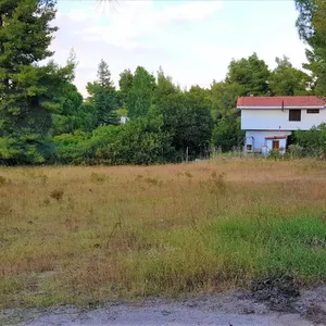 Земельный участок в Ситониа, фото 4