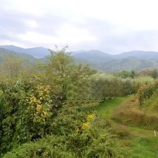 Отдельный дом в Капаннори, фото 1