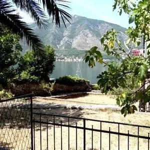 Отдельный дом в Доброта, фото 3
