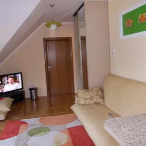 Студия в Златибор, фото 4