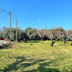 Земельный участок в Corfu, фото 2