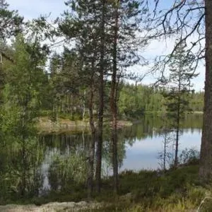 Отдельный дом в Руоколахти, фото 3