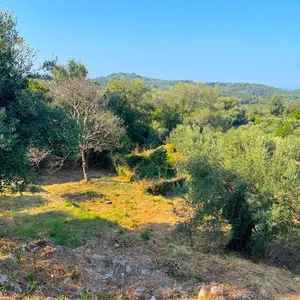 Земельный участок в Corfu, фото 4
