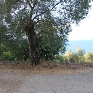 Земельный участок в Corfu, фото 5