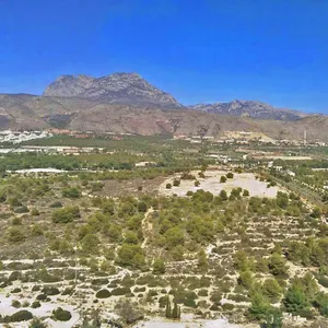 Квартира в Бенидорм, фото 5