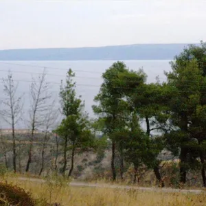 Земельный участок в Kassandra Municipality, фото 5