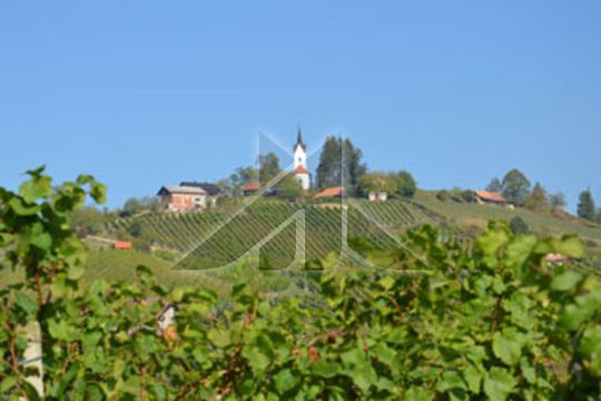 Коммерческая недвижимость в Рогашка-Слатина