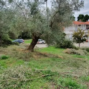 Земельный участок в Kassandra Municipality, фото 3