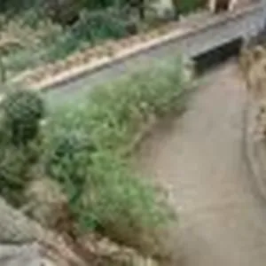 Вилла в Льорет-де-Мар, фото 4