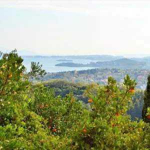 Земельный участок в Corfu, фото 2