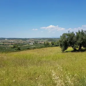 Земельный участок в Kassandra Municipality, фото 2