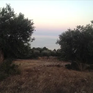 Земельный участок в Aristotle University of Thessaloniki, фото 4