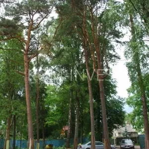 Квартира в Юрмала, фото 2