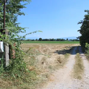 Земельный участок в Коринос, фото 3