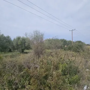 Земельный участок в Kassandra Municipality, фото 3