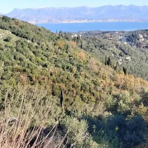 Земельный участок в Corfu, фото 2