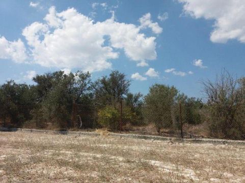 Земельный участок в Ларнака Муниципалитет