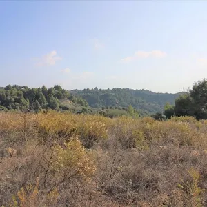 Земельный участок в Ситониа, фото 5