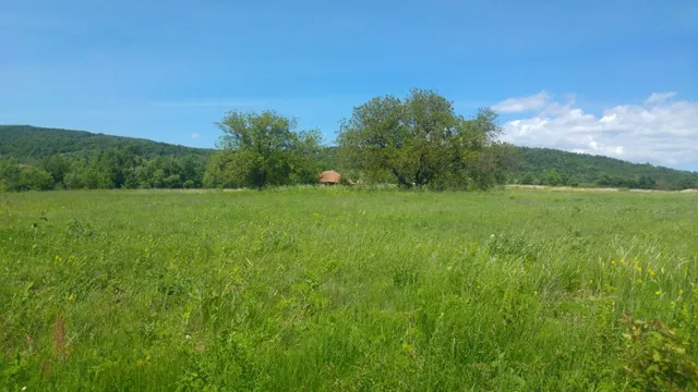Земельный участок в Белград