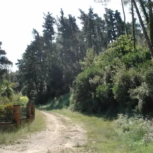 Вилла в Валломаны, фото 2