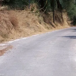 Земельный участок в Бокали, фото 2