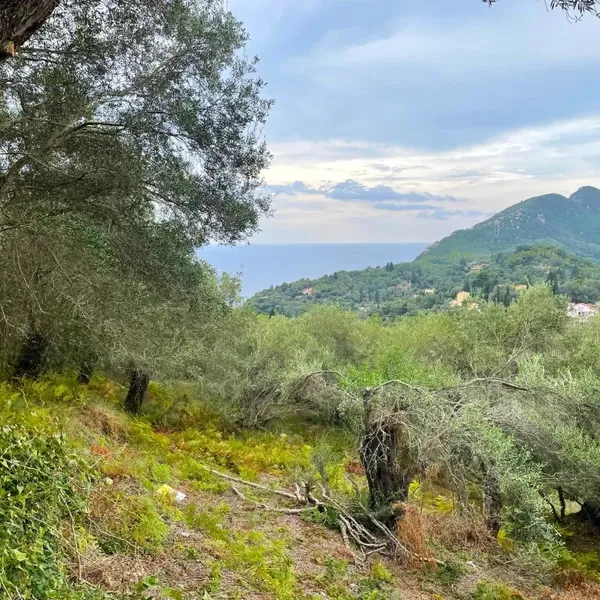 Земельный участок в Corfu, фото 1