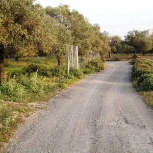 Земельный участок в Эгейские острова, фото 4