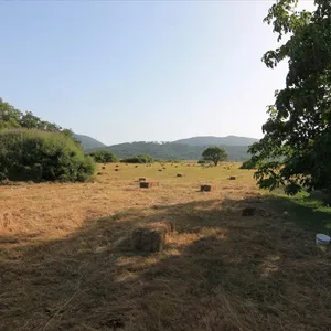 Земельный участок в Corfu, фото 2