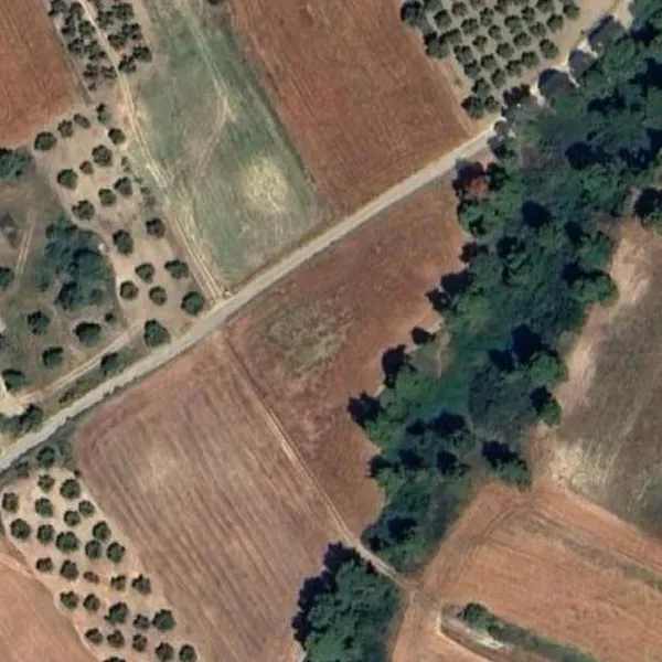 Земельный участок в Kassandra Municipality, фото 1