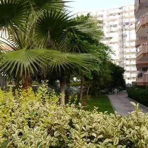 Квартира в Алания, фото 3