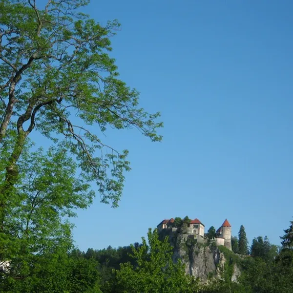 Дом в Блед, фото 1