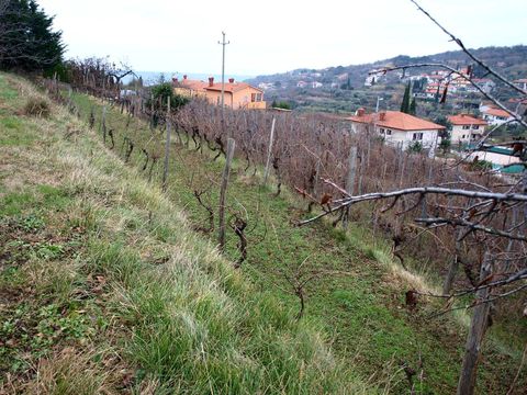 Земельный участок в Изола