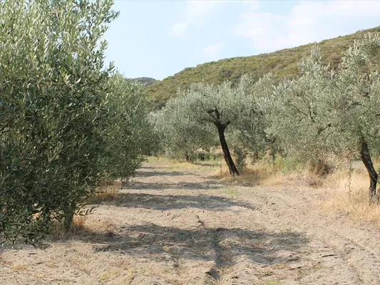 Земельный участок в Kassandra Municipality