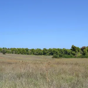 Земельный участок в Kassandra Municipality, фото 4