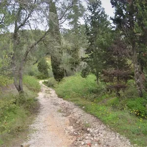 Земельный участок в Corfu, фото 5