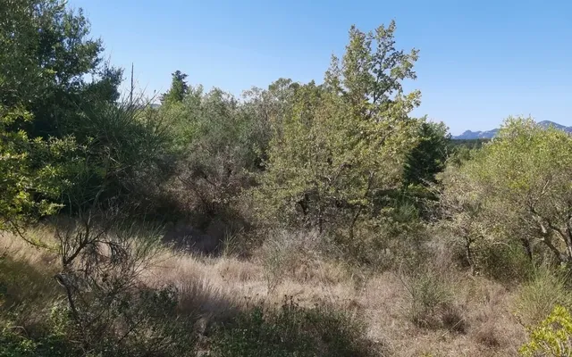 Земельный участок в Corfu