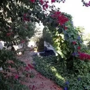 Вилла в Хавеа, фото 4