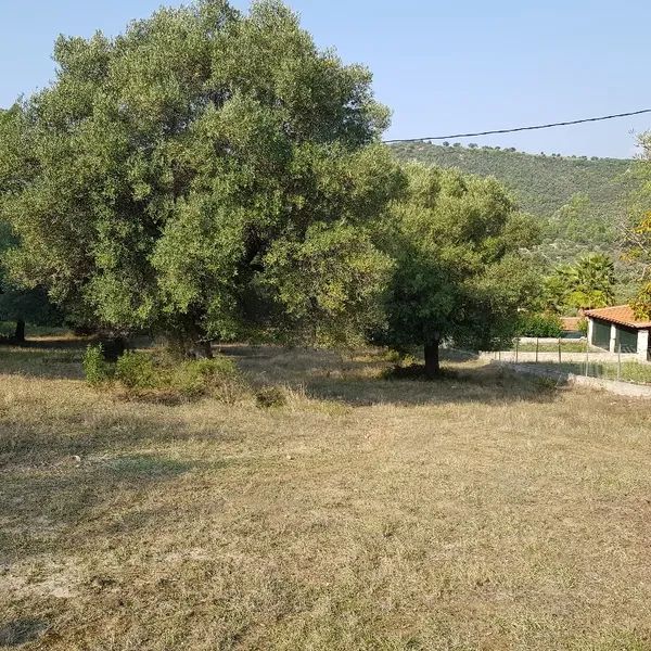 Земельный участок в Kassandra Municipality, фото 1