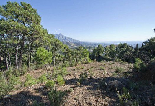 Земельный участок в Марбелья