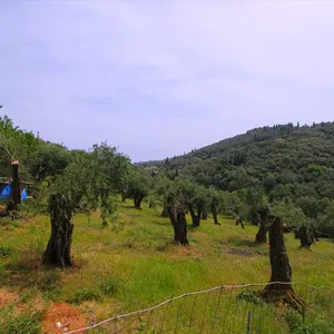 Земельный участок в Corfu, фото 5