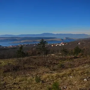 Земельный участок в Ядраново, фото 5