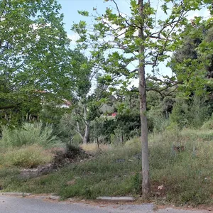Земельный участок в Kassandra Municipality, фото 5