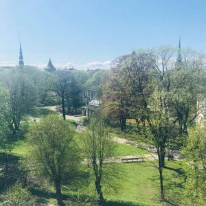 Квартира в Старая Рига, фото 3