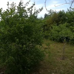Дом в Македония и Фракия, фото 3